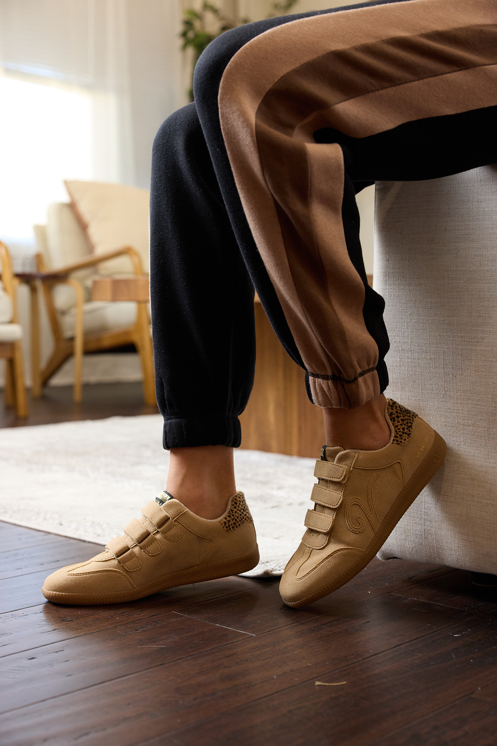 Vintage Havana | PACE - CAMEL