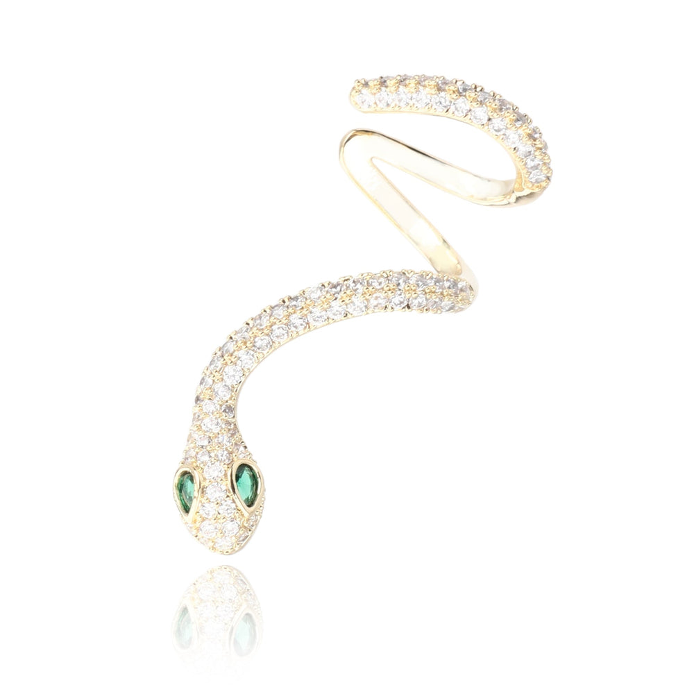 Vintage Havana | HEATHER EARRING