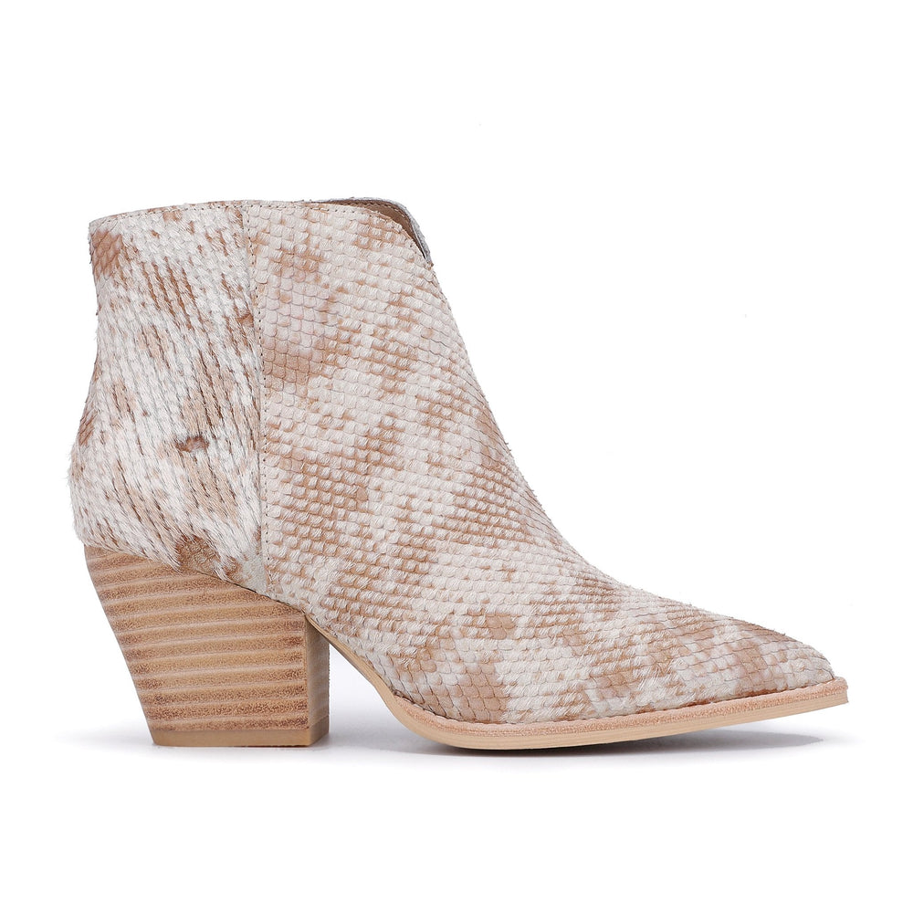 Vintage Havana | CASSIDY - SNAKE MULTI