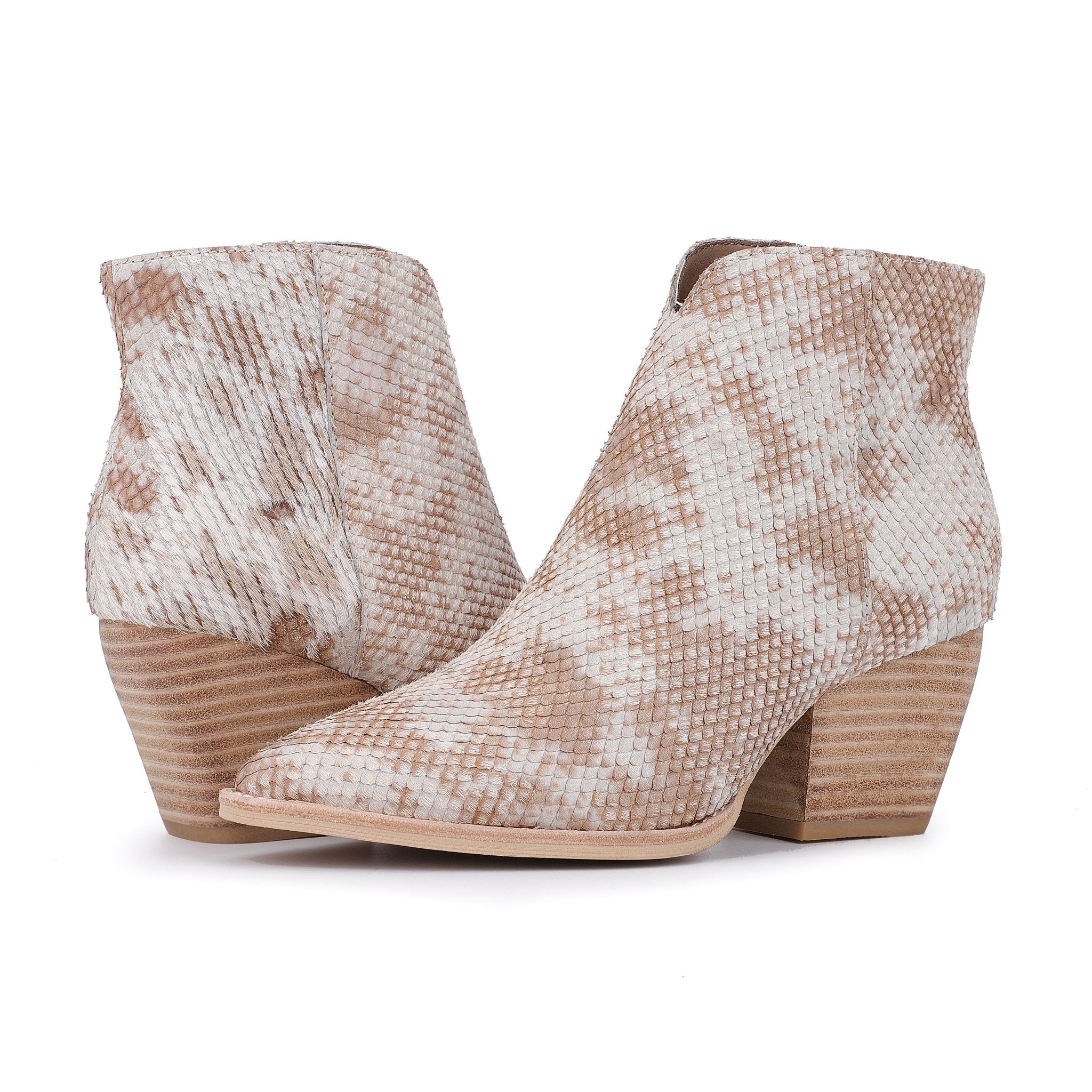 Vintage Havana | CASSIDY - SNAKE MULTI