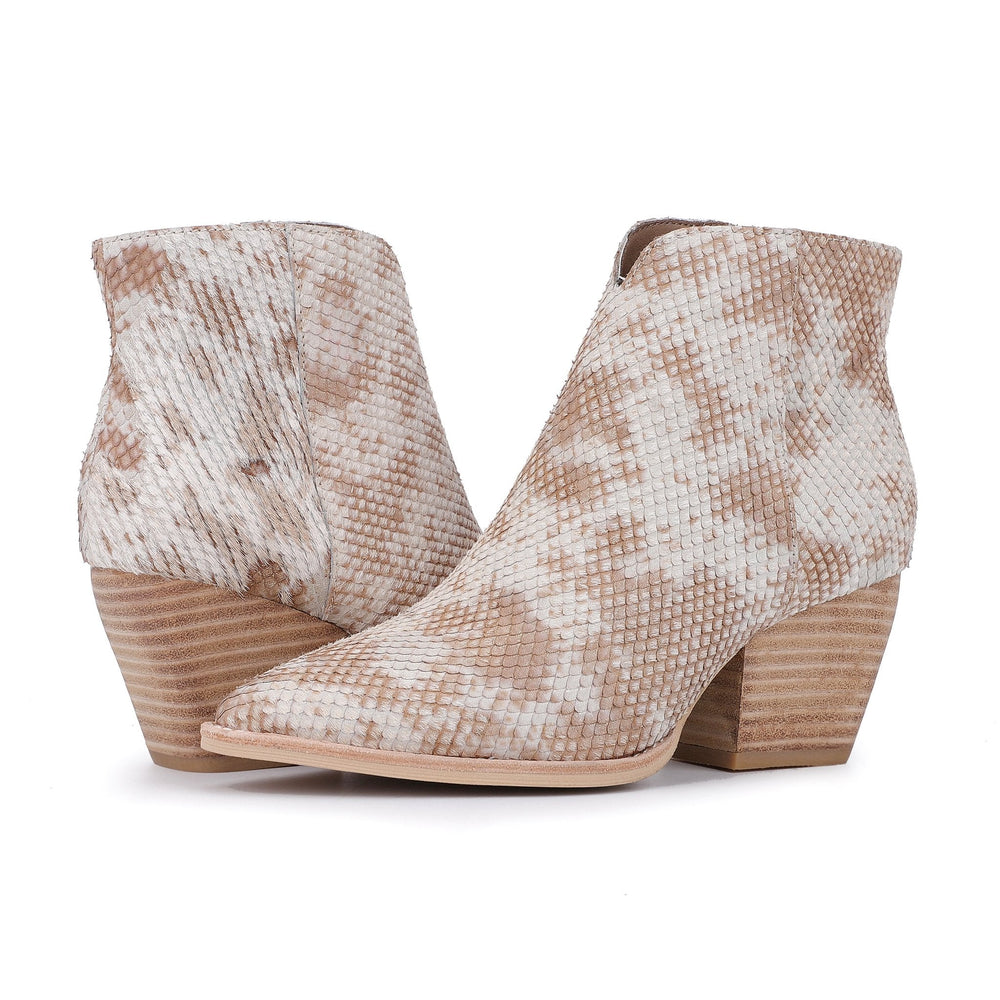 Vintage Havana | CASSIDY - SNAKE MULTI