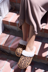 Vintage Havana | Mellow - WILD LEOPARD