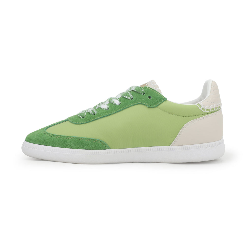 Vintage Havana | CRISP - GREEN POP