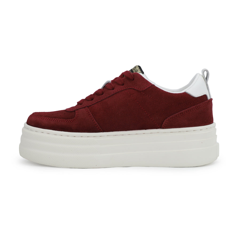 Vintage Havana | HUNTER - MAROON