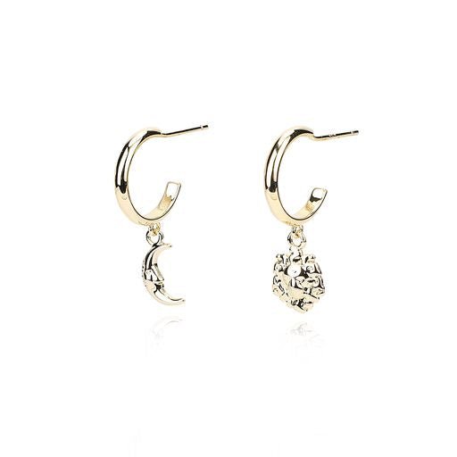Vintage Havana | HARMONY EARRINGS