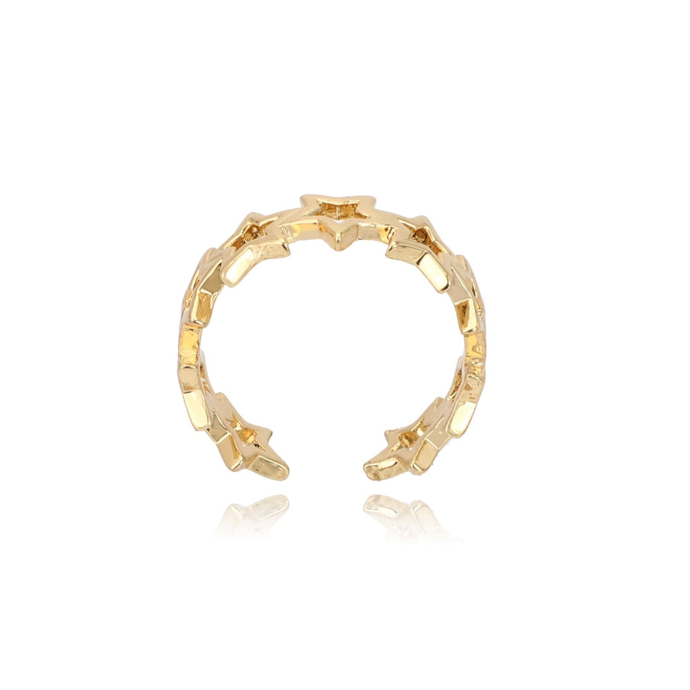 Vintage Havana | IVORY RING