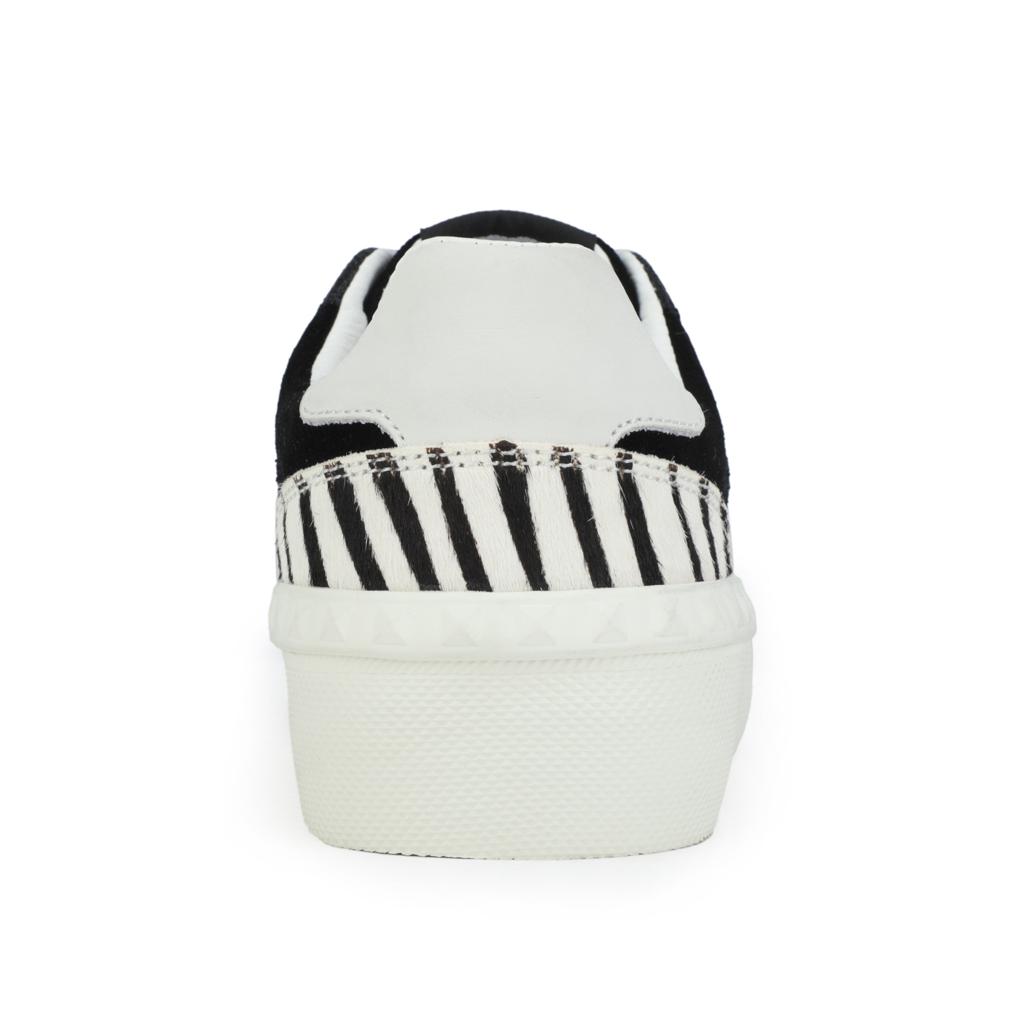 Vintage Havana | TEMPO - BLACK ZEBRA