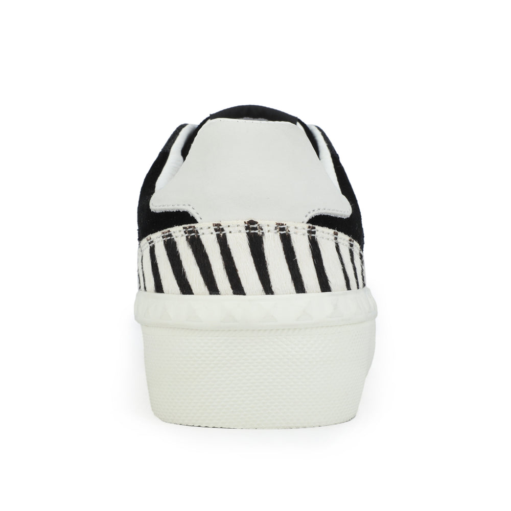 Vintage Havana | TEMPO - BLACK ZEBRA