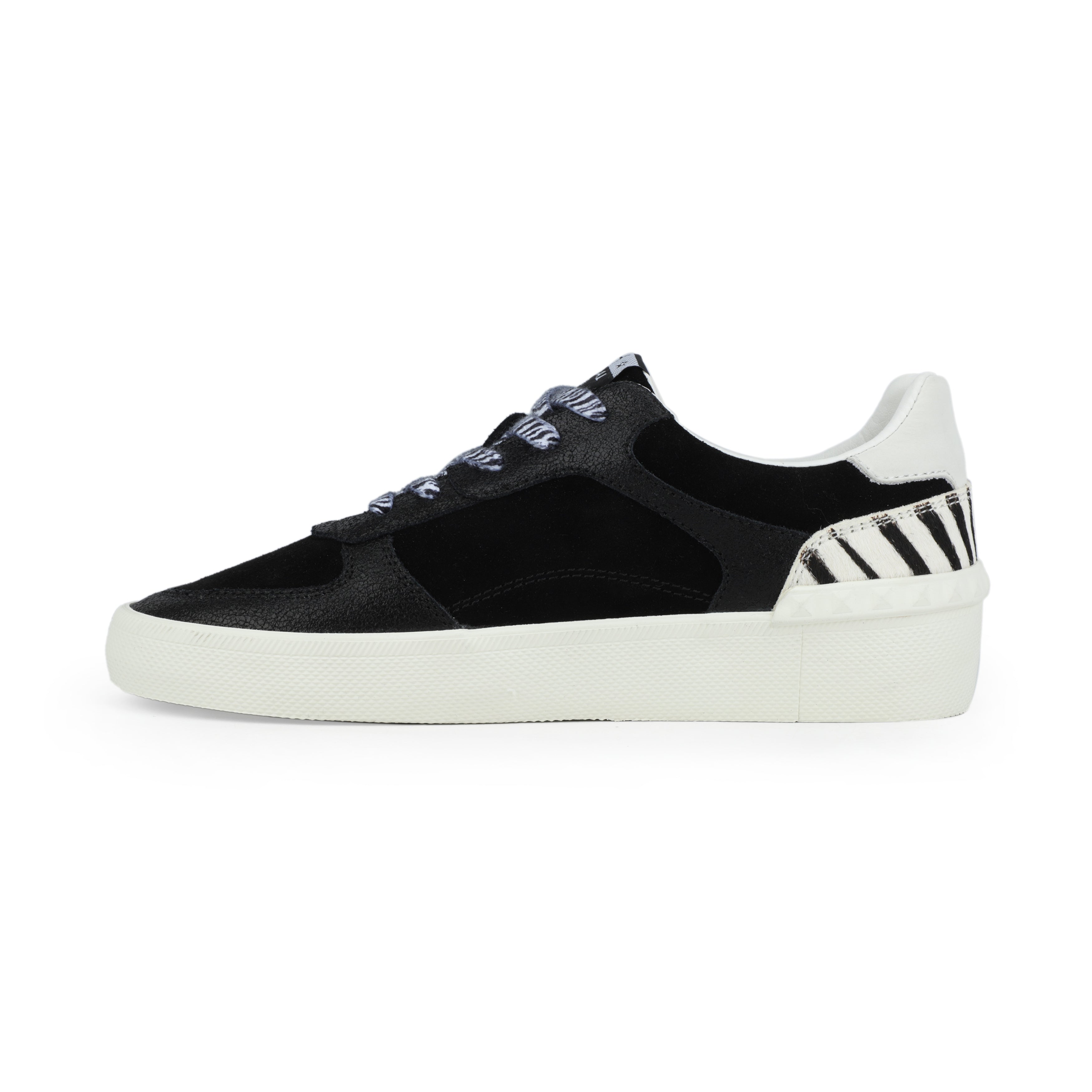 Vintage Havana | TEMPO - BLACK ZEBRA