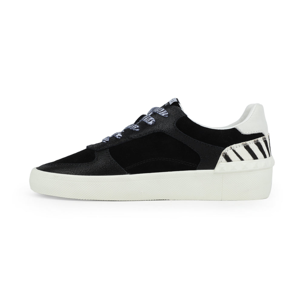 Vintage Havana | TEMPO - BLACK ZEBRA