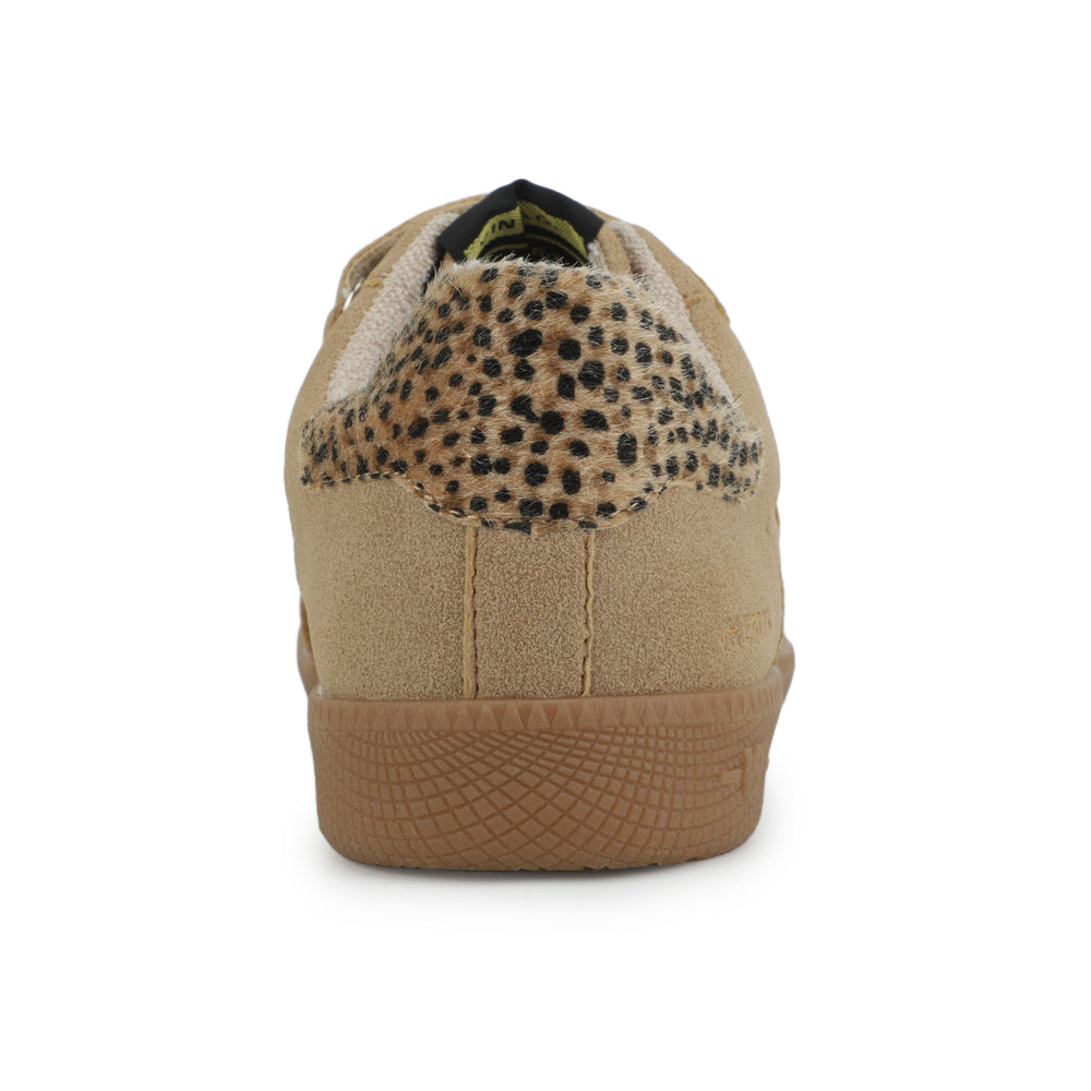 Vintage Havana | PACE - CAMEL