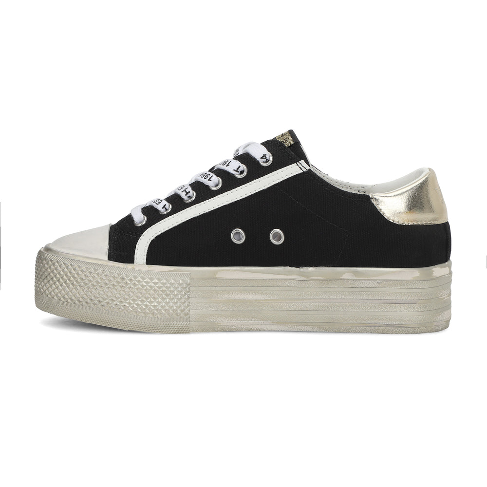 Vintage Havana | AMAZE - BLACK GOLD WASH